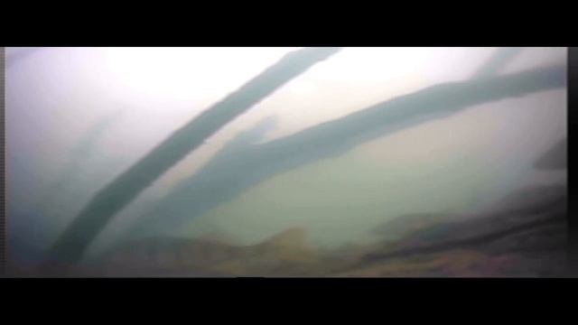 ПОДВОДНАЯ СЪЕМКА ОКУНЯ НА МАЛОЙ РЕЧУШКЕ//ОКУНЬ НЕ КЛЮЕТ СТОИТ НА МЕСТЕ КЛЕВА НЕТ. смотреть онлайн