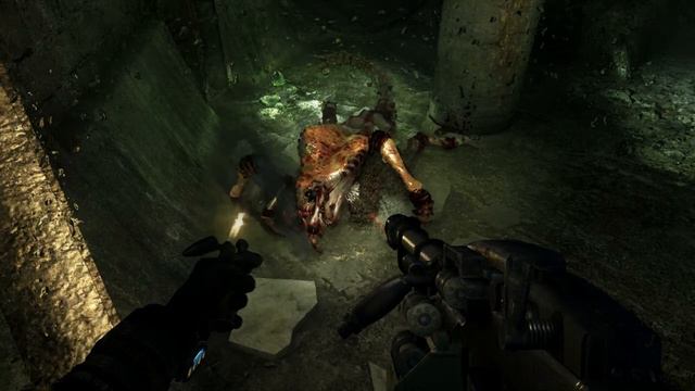 Metro 2033 Redux - Забавный баг с пауком