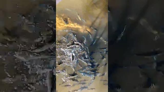 Fish cave 2 смотреть онлайн