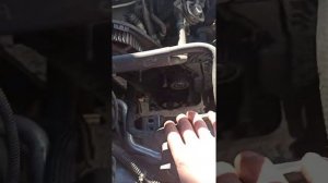 замена ремня грм шкода Октавия а 5 тур 1,6  BFQ