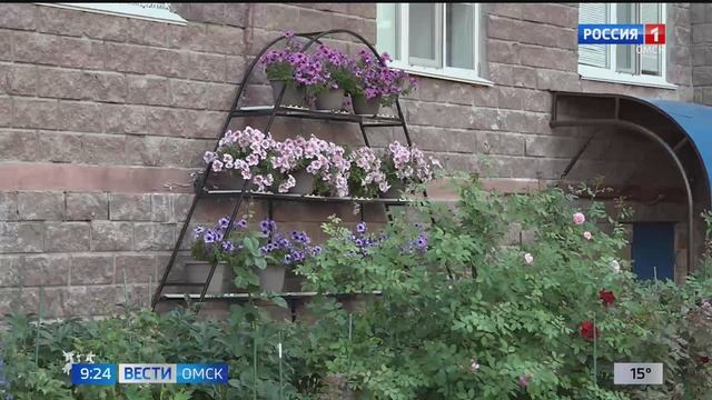 Городские комиссии приступили к оценке самых красивых дворов Омска смотреть онлайн