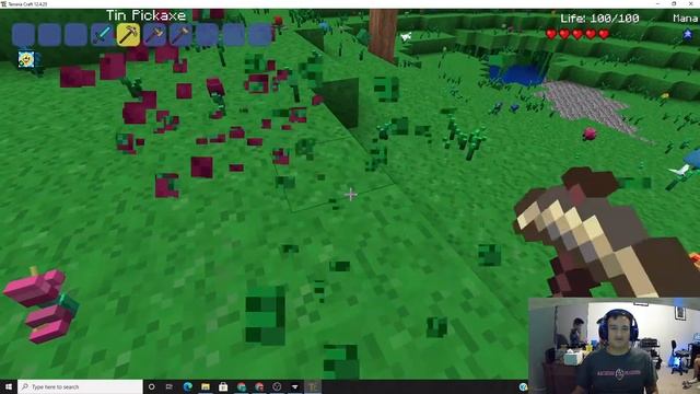 Terraria Craft - Mods - Minecraft - CurseForge смотреть онлайн