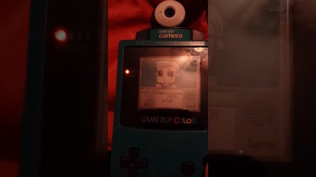 Gameboy camera easter egg on gameboy color смотреть онлайн