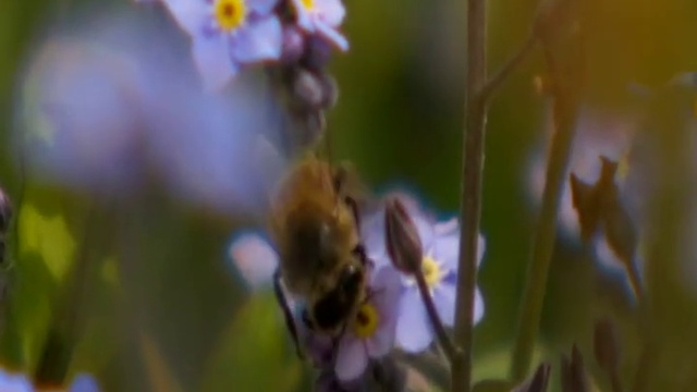  планета смотреть онлайн