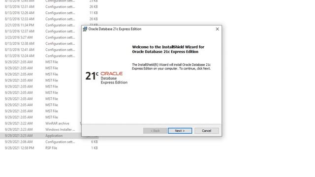 How to Install Oracle Database Express Edition on Windows 10 смотреть онлайн