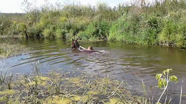 Илисс. Плавание с лошадью смотреть онлайн