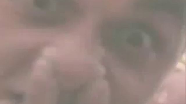 лежбище Нестеренко 2007г. смотреть онлайн