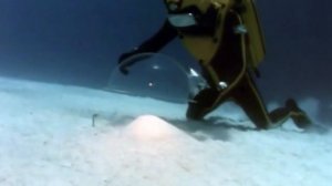 03 1967 Коралловые джунгли Подводная одиссея команды Кусто