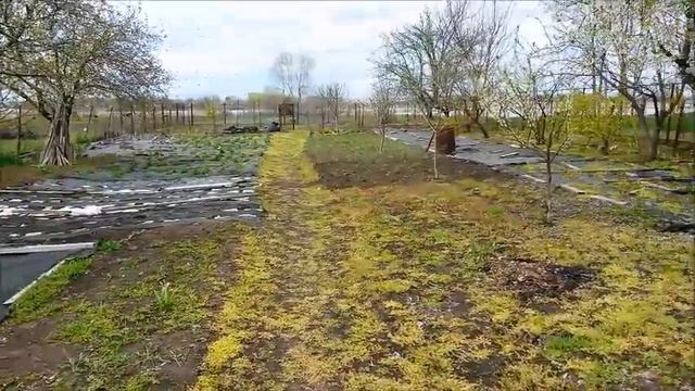 Экскурсия по саду ЕлеНика апрель 2017 смотреть онлайн