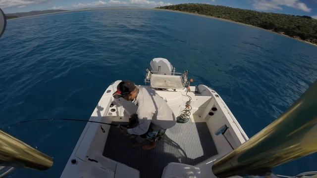 How to catch a Spanish (King) Mackerel by 4 year old in Northern Queensland. смотреть онлайн