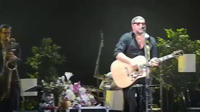 Марш Священных Коров (Мьюзик холл) смотреть онлайн