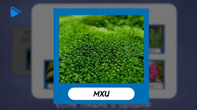 6 класс - Биология - Царство растений смотреть онлайн