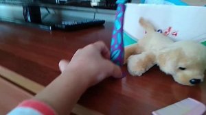 #игрушка#собачка#щенок#детскоевидео уход за игрушкой щенка ??????????