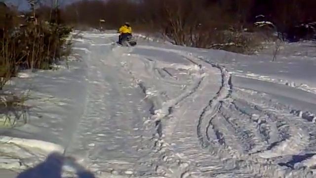 vovka vs dingo смотреть онлайн