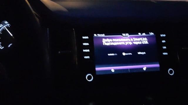 Нужен ли адаптивный круиз Kodiaq-у? смотреть онлайн