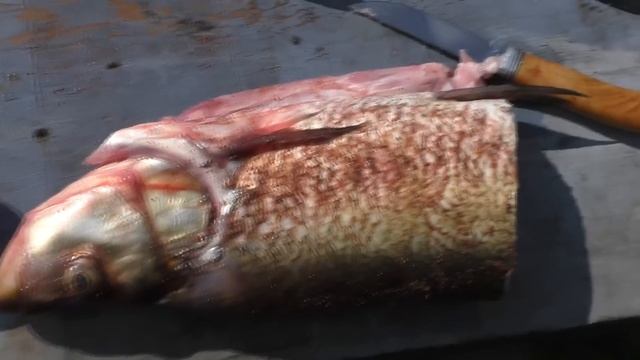 РЫБА ГОРЯЧЕГО КОПЧЕНИЯ, В КАЗАНЕ НА КОСТРЕ , рецепты из рыбы от fisherman dv. 27 rus смотреть онлайн