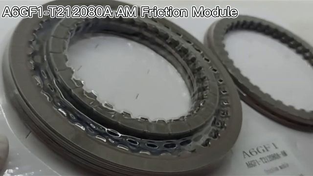 A6GF1-T212080A-AM Friction Module