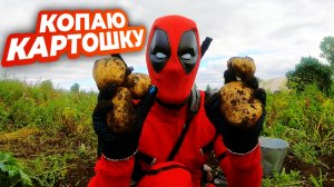 КОПАЕМ КАРТОШКУ ВМЕСТЕ С ДЭДПУЛОМ