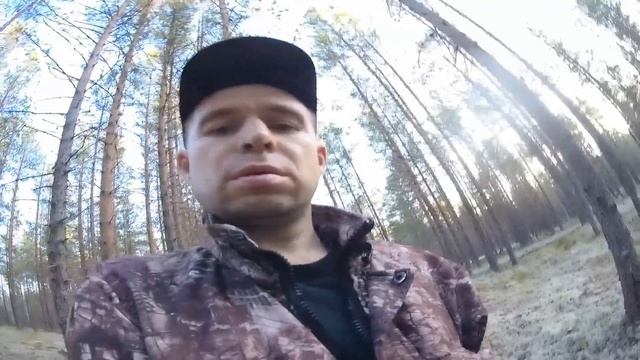 В лесу полно грибов. смотреть онлайн