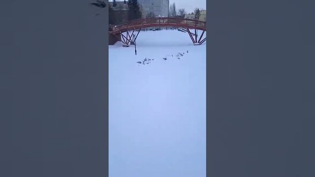 Санаторий Омский Зимой смотреть онлайн
