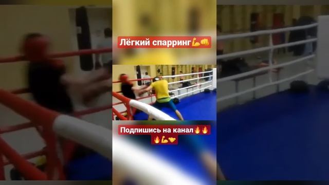 Лёгкий спарринг?#спорт #бокс #мма #gym #россия #хабаровск #владивосток #тренировка #box #boxing смотреть онлайн