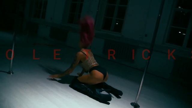 EXOTIC CONVENTION 2019