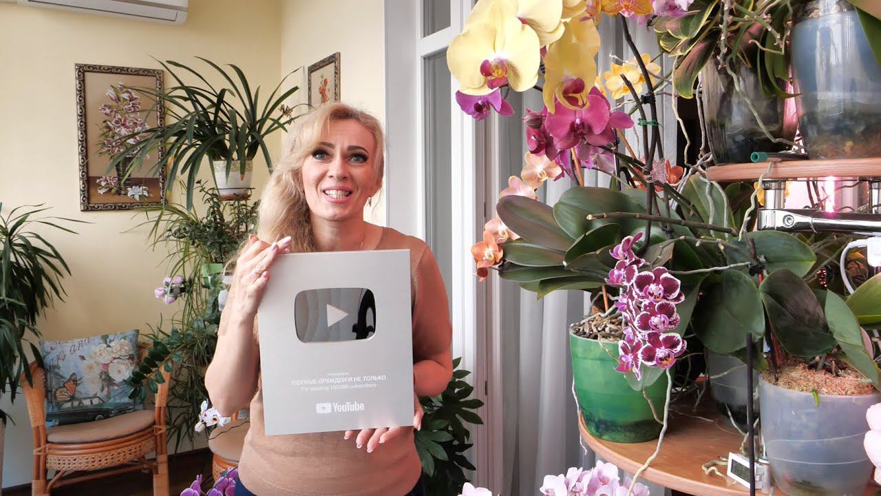 ВОСКРЕСНОЕ УТРО БЫЛО СПОКОЙНЫМ... НО потом...! Смотрите сами. смотреть онлайн