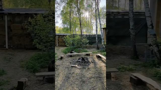 ЯРадОм. Йога-дом. Ретритный центр. Йога-ретрит. Випассана. Йога. Йога-Туры. Эко-баня. смотреть онлайн