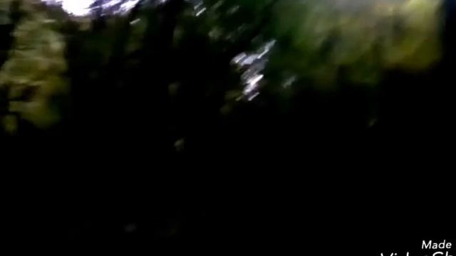 Копия видео "Абхазия, форелевое хозяйство. Прогулка по сказочному лесу.горная река" смотреть онлайн