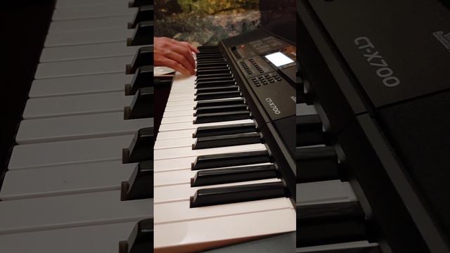Українські весільні пісні.Вальс. Casio CT X-700 смотреть онлайн