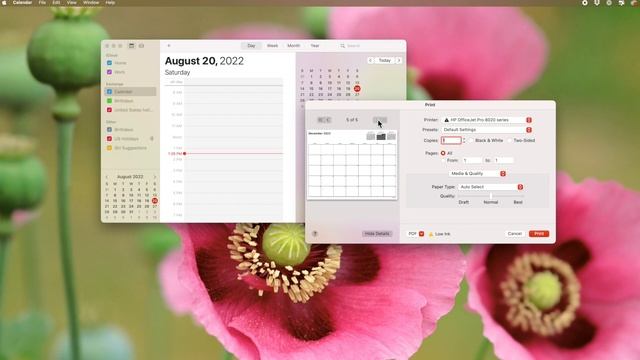 How to Make a Custom Planner in Apple Calendar [It's Easy!] смотреть онлайн