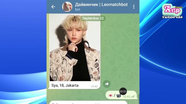Bot Telegram Untuk Mencari Pasangan Jodoh Teman selain Anon Chat смотреть онлайн