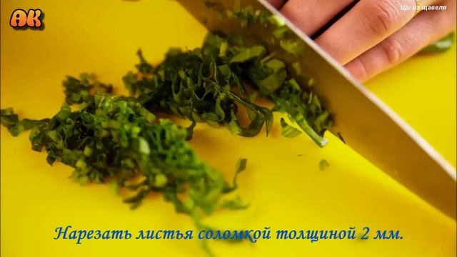 Интересные Факты о Животных