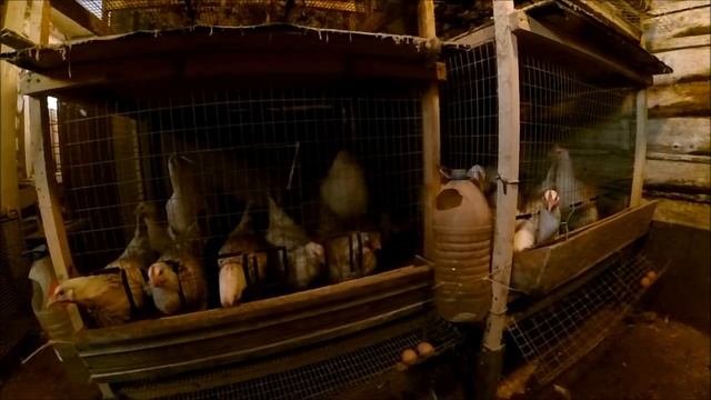 Деревенские Будни // Март, новости, хозяйство смотреть онлайн