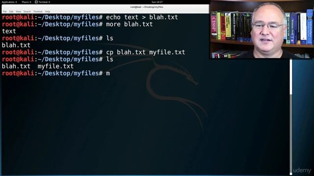L19 (#3) Command-Line Linux File Magic! смотреть онлайн