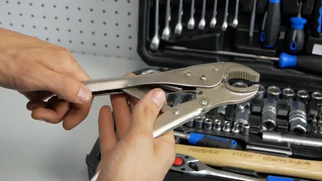 Универсальный набор инструментов Форсаж Forsage / Инструменты Форсаж в кейсе / Toolset Forsage