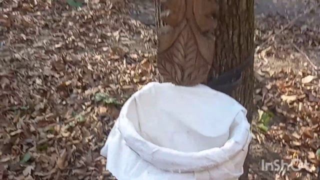 Необычная Прогулка!!!!Я под впечатлением!!!??☝???????????? смотреть онлайн