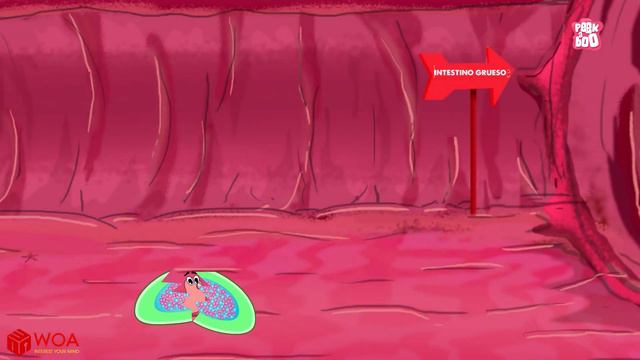 Lombrices intestinales | Cómo deshacerse de los oxiuros | Educativos para niños 2021 смотреть онлайн