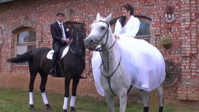 Свадебная видеосъемка "летающая камера" смотреть онлайн