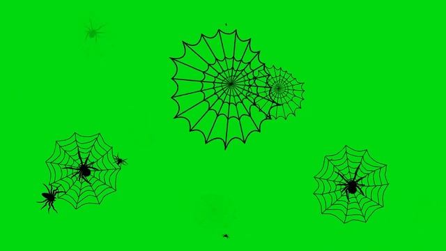 Green screen spider web пауки хеллоуин helloween (free to use pack) смотреть онлайн