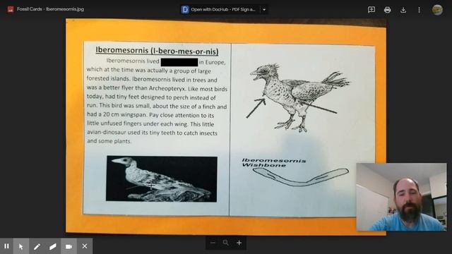 Iberomesornis Hints смотреть онлайн