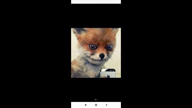 Угадай где я?😼 Я дома!😼 смотреть онлайн