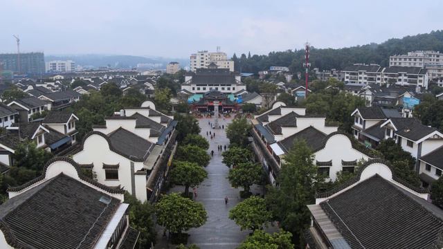 Царство грибов: Паутина жизни Fungi: The Web of Life / 2Fungi The Web of Life (2023) WEB-DL 1080p смотреть онлайн