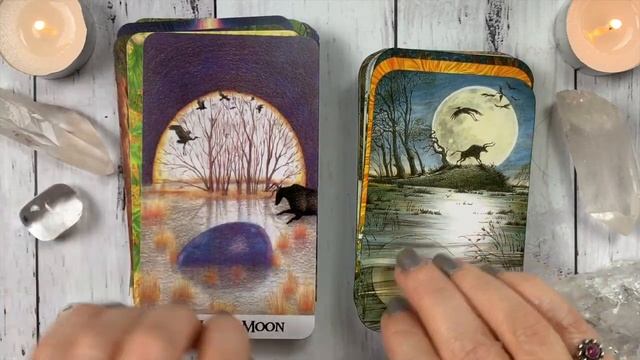 Comparison of the Greenwood and Wildwood Tarot смотреть онлайн