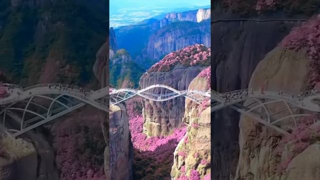 The Ruyi Bridge during spring time смотреть онлайн