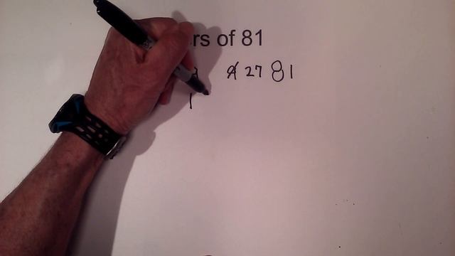 Factors Of 81