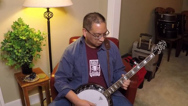 John Hartford D string set - What do "D" strings sound like on a regular banjo? смотреть онлайн
