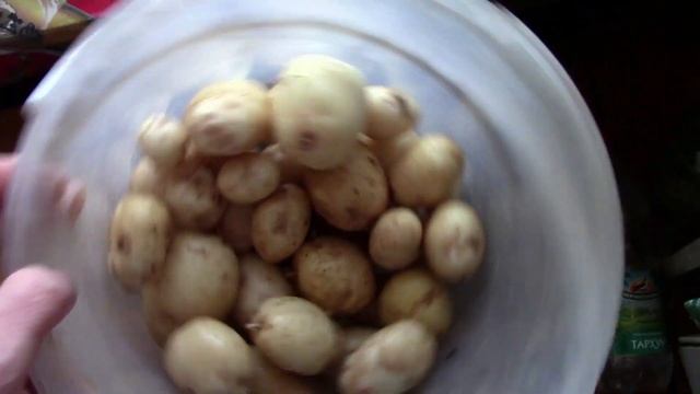 Кот принёс змею//ставим новый забор смотреть онлайн