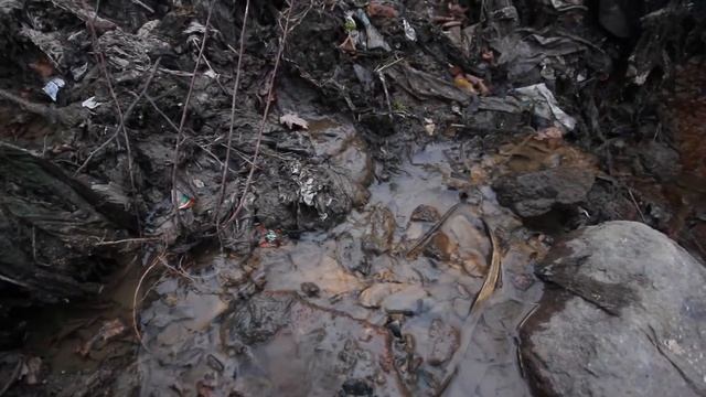 Сброс сточных вод в реку Малая Ижорка (Колпино, 05.12.2020) смотреть онлайн