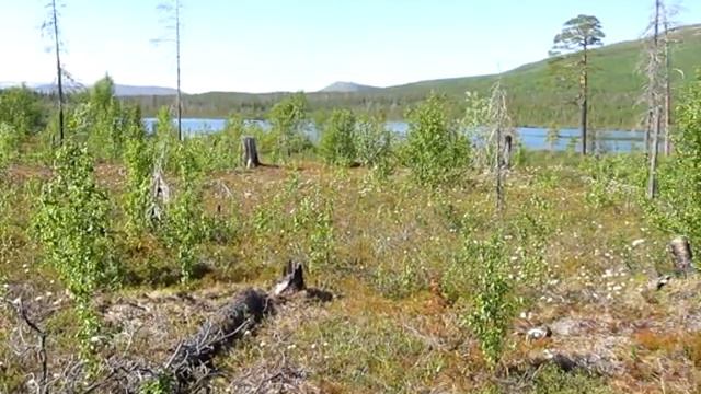 Александр Шашин (АЧМ) - Для нас, северян смотреть онлайн